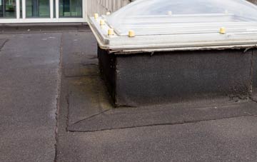 disadvantages of Haugh Of Urr flat roofs