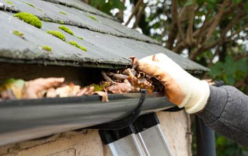gutter cleaning Haugh Of Urr, Dumfries And Galloway