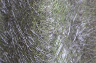 Haugh Of Urr fibreglass roof work