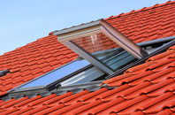 Haugh Of Urr roof window